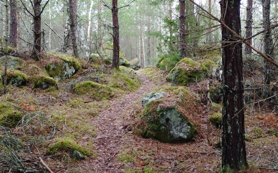 Alter Kirchweg nach Sannerud